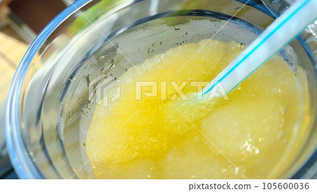 Summer mandarin sorbet at Shoin Shrine Summer mandarin sorbet at Shoin Shrine 105600036