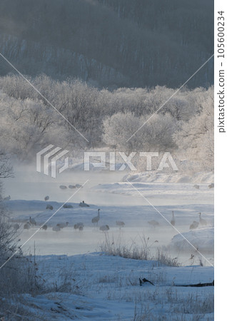 冬天櫻花霜冰和床邊無人機 105600234