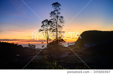 Beautiful sunrise rural village in Pattipola landscape photograph, Silhouetted tall trees, and mountain. Colorful gradient bright skies in the background. 105600367