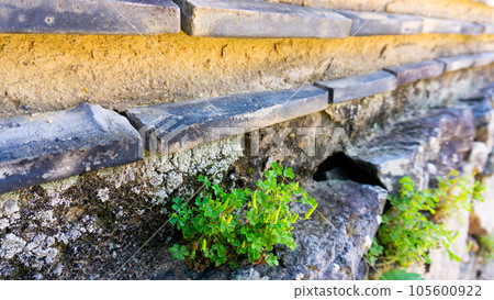 Horiuchi Keymagari Road in Hagi, Yamaguchi Prefecture Horiuchi Keymagari Road in Hagi, Yamaguchi Prefecture 105600922