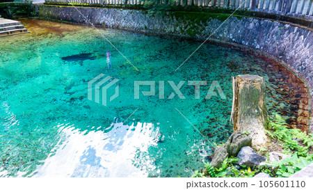 Beppu Benten Pond where clear blue water springs out Beppu Benten Pond where clear blue water springs out 105601110