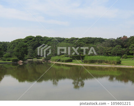 稻毛海濱公園浜池的夏日景色 105601221