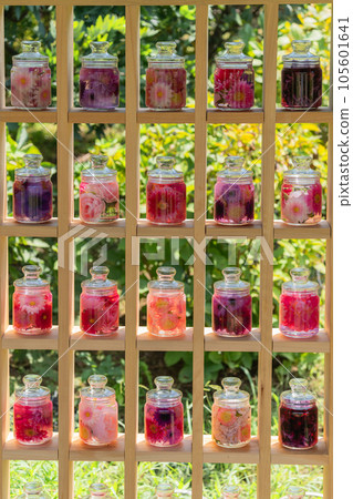 架子上陳列著色彩繽紛的植物標本室 105601641