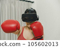 Empowered Home Boxing Experience 105602013