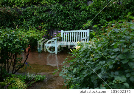 長凳和繡球花 105602375