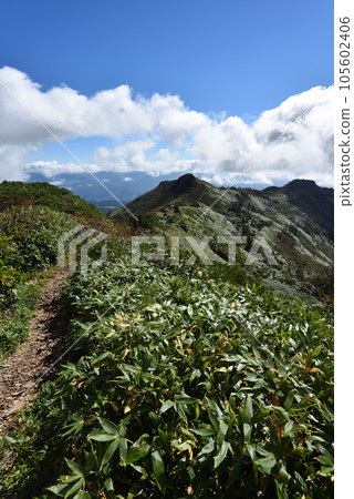 Mt. Hotaka mountain climbing in Joshu, Kawaba Village, Gunma Prefecture 105602406