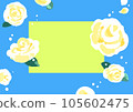 White rose in blue sky frame 105602475