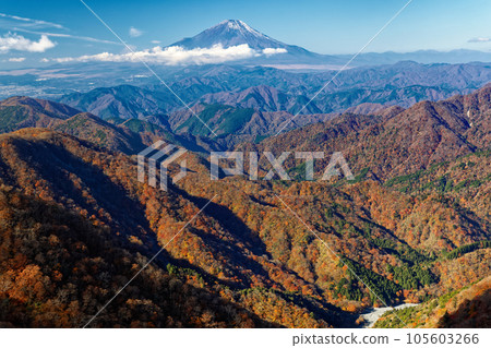 從丹澤山地的塔野岳眺望富士山的紅葉 105603266