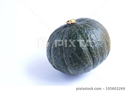 Chestnut pumpkin Chestnut pumpkin 105603269
