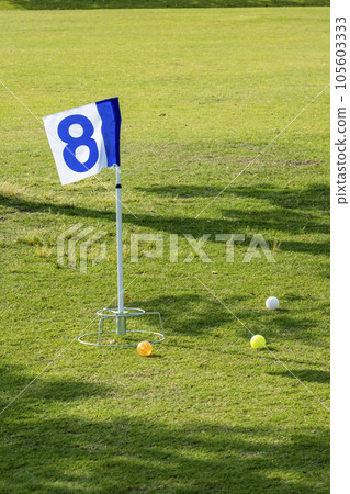 image of ground golf 105603333