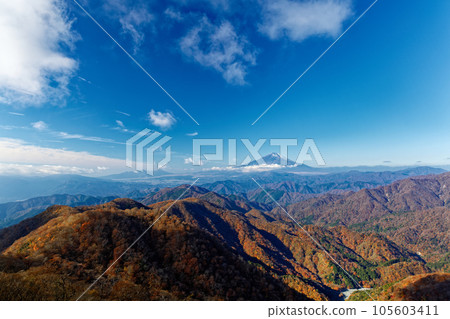從丹澤山地的塔野岳眺望富士山的紅葉 105603411