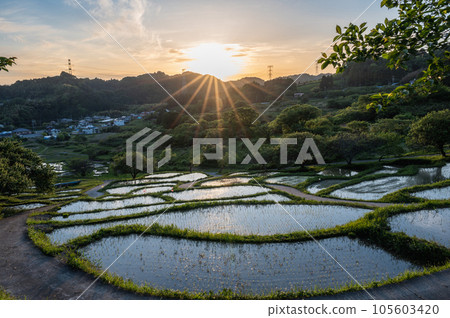 仙河町梯田 105603420