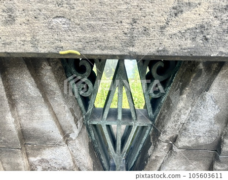 欄杆上的毛毛蟲 / 毛毛蟲 欄杆上的毛毛蟲 / 毛毛蟲 105603611