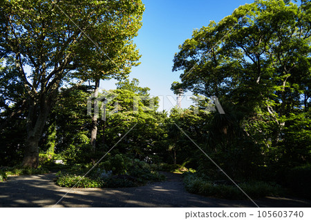 港三重岡公園/山手111館/橫濱大英博物館 港三重岡公園/山手111館/橫濱大英博物館 105603740