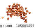 Hazelnuts isolated on white background. Hazelnuts nuts. 105603854