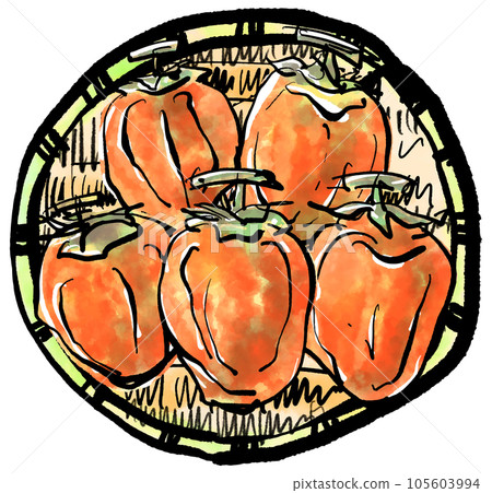 幹柿手繪插圖（毛筆水彩墨繪風格） 105603994