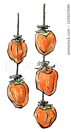 Hand-drawn illustration of dried persimmon (brush writing watercolor sumi-e style) 105603996