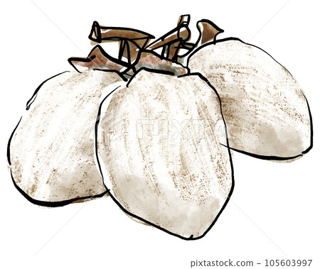Hand-drawn illustration of dried persimmon (brush writing watercolor sumi-e style) 105603997