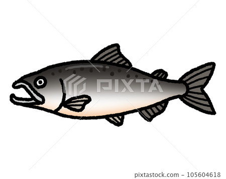 鮭魚,鮭魚,魚 鮭魚,鮭魚,魚 105604618