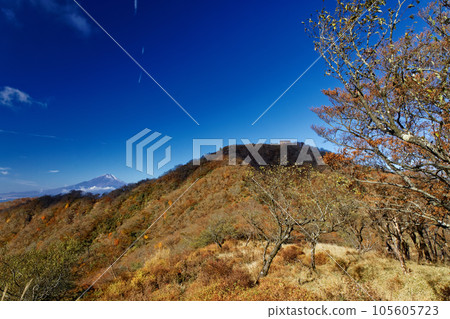 深秋從丹澤表嶺看到的殿岳和富士山 深秋從丹澤表嶺看到的殿岳和富士山 105605723