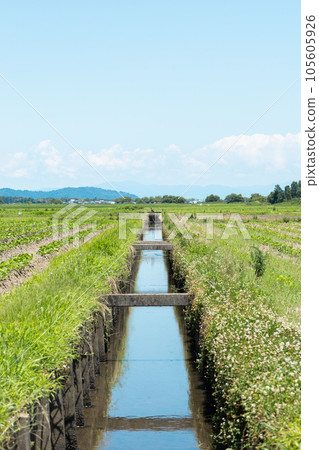 日本農村灌溉渠 日本農村灌溉渠 105605926