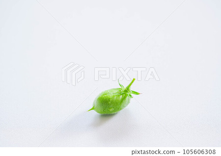 chickpeas with cute pods chickpeas with cute pods 105606308