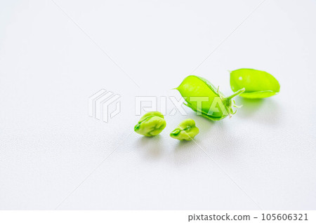 兩個生鷹嘴豆和豆莢 兩個生鷹嘴豆和豆莢 105606321
