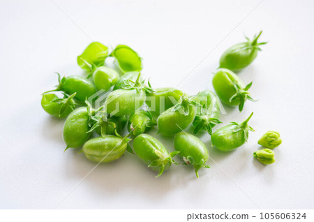 帶豆莢和內容物的生鷹嘴豆 105606324