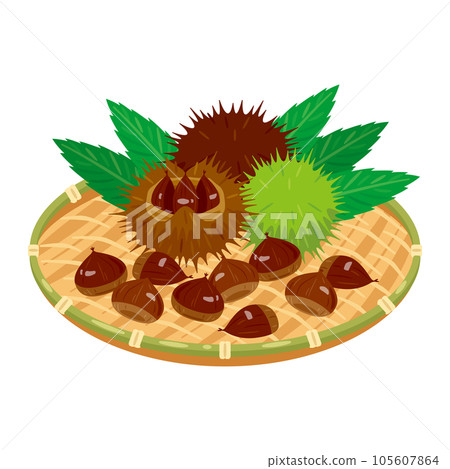 Chestnuts on a bamboo basket 2 Chestnuts on a bamboo basket 2 105607864