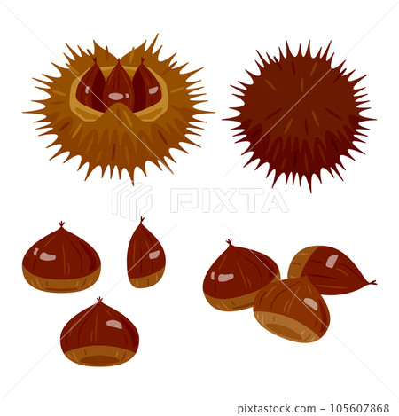 栗子 栗子 105607868