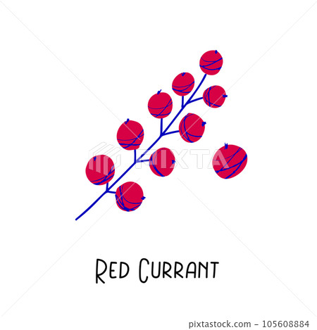Red Currant illustration with texture isolated on 105608884