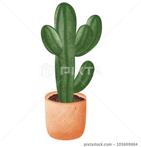 Potted plants painted with watercolors Potted plants painted with watercolors 105609984