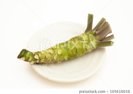 芥末（真正的芥末） 105610038