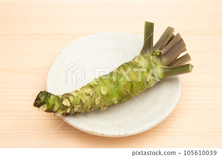 芥末（真正的芥末） 105610039