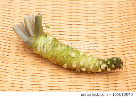 芥末（真正的芥末） 105610040