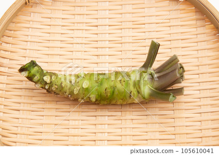 芥末(真正的芥末) 芥末(真正的芥末) 105610041