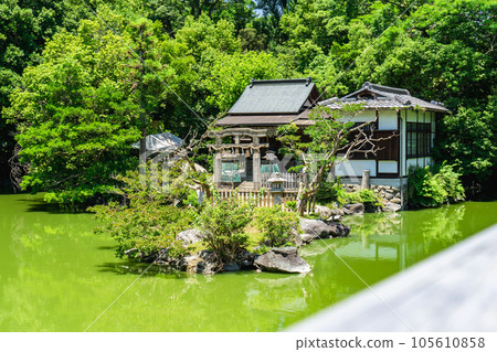 京都市上京區京都御苑的嚴島神社 從九條池看到的唐波夫鳥居 105610858