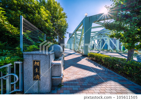 Tokyo cityscape in Japan The entrance to Koto Ward's Nakanoshima Park at the base of Aioi Bridge (left side of the screen), etc. 105611505