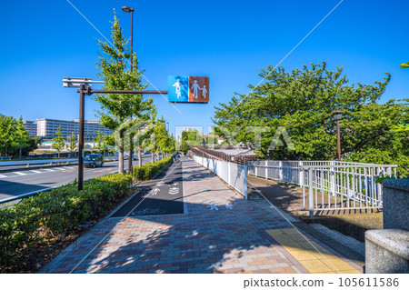 Tokyo cityscape in Japan Entrance to Koto Ward "Nakanoshima Park" at the base of Aioi Bridge (right) 105611586