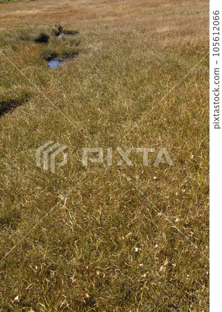 Climbing Mt. Shibutsu, Oze, Gunma Prefecture 105612066