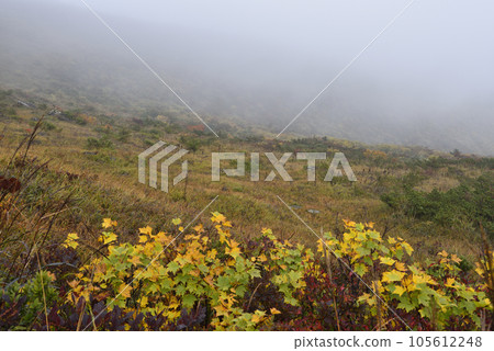 Climbing Mount Adatara, Nihonmatsu City, Fukushima Prefecture 105612248