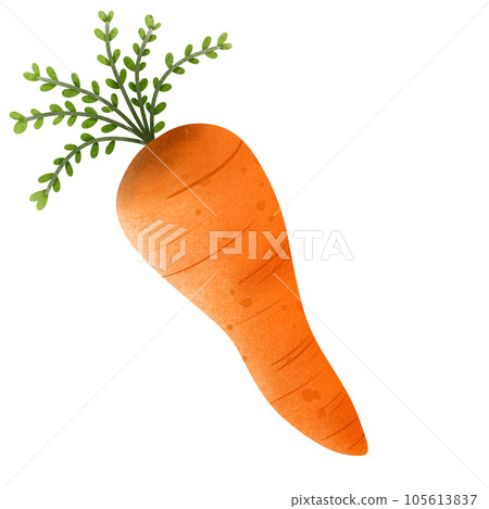 Carrot Carrot 105613837