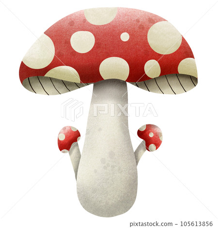 Mushroom Mushroom 105613856