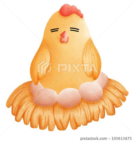 Chicken Chicken 105613875