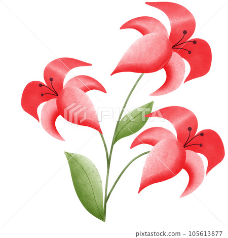 Flower Flower 105613877