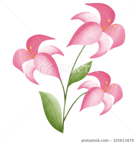 Flower Flower 105613879