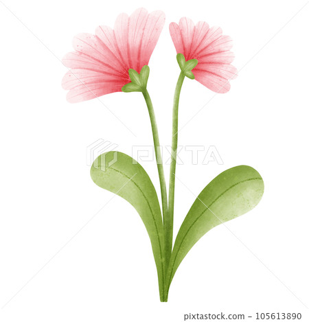 Flower Flower 105613890