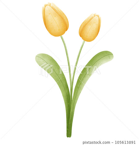 Flower Flower 105613891