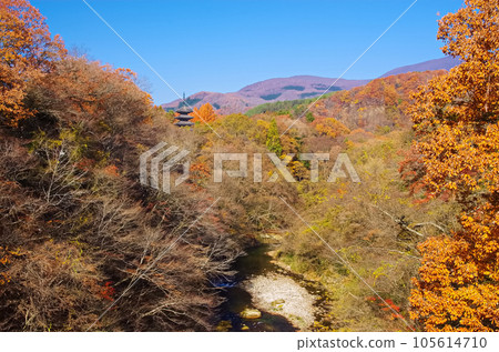 秋天的城木山（宮城縣仙台市） 105614710
