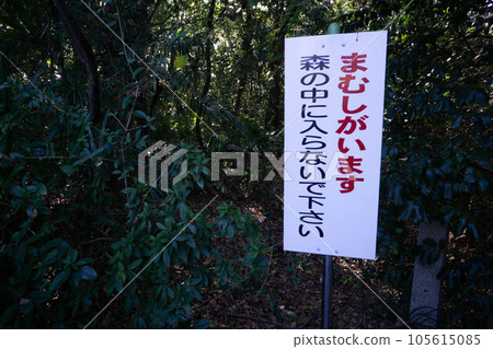 築上郡（吉富町）八幡小手神社 105615085